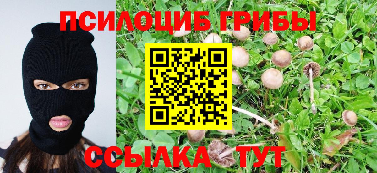 Гашиш Сызрань