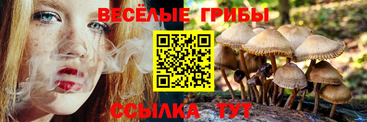 Псилоцибиновые грибы Psilocybe Сызрань